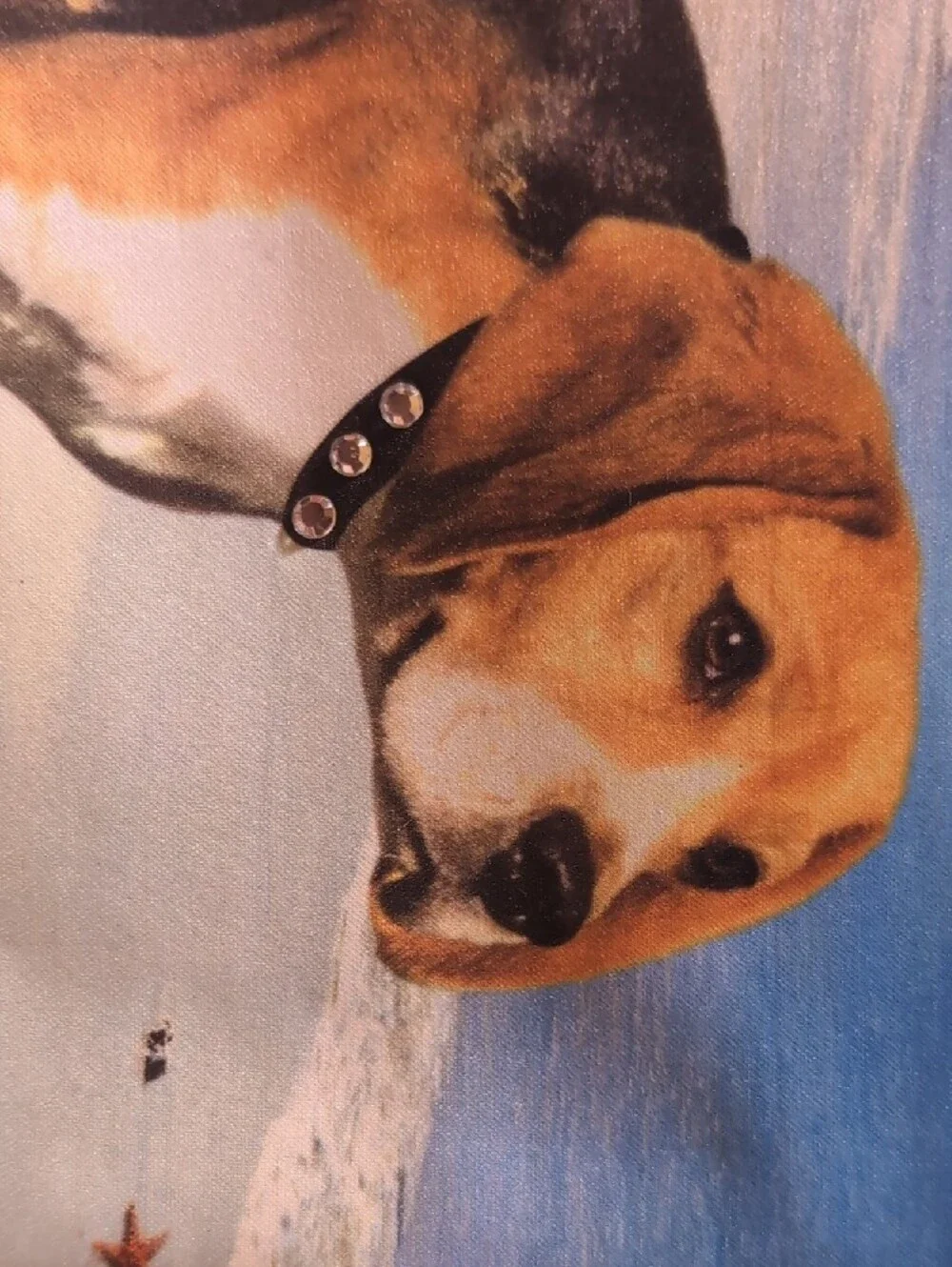 Beagle Dog Print Beach Purse in Sparkles and Black W A Makeup Bag